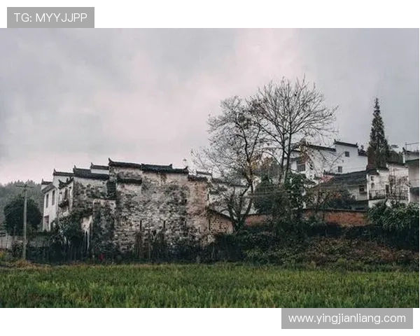 畅享金喜真人娱乐:如何提升你的游戏技巧与胜率 畅享金喜真人娱乐:如何提升你的游戏技巧与胜率