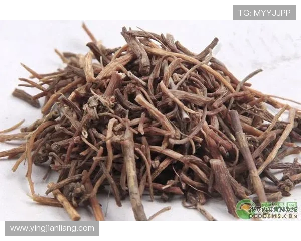 凯发旗舰厅手机版:客户服务与技术支持渠道,快速解决使用中遇到的问题 凯发旗舰厅手机版:客户服务与技术支持渠道,快速解决使用中遇到的问题