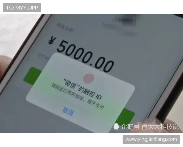 ag网站投注用户评价与口碑分析帮助新手选择可信赖的投注平台
